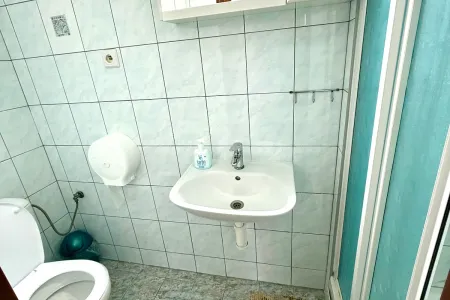 IMAG1097.webp