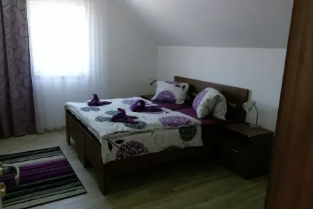 IMAG1325.webp